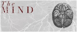 MindCuri Mind