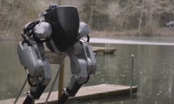 cassie robots
