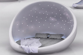 cosmosbed2