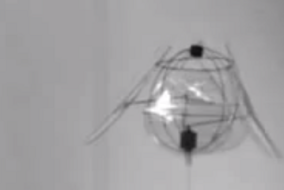 jellyfish_SeriousWonder