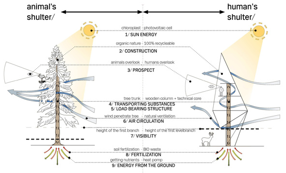 symbiotic treehouse diagram