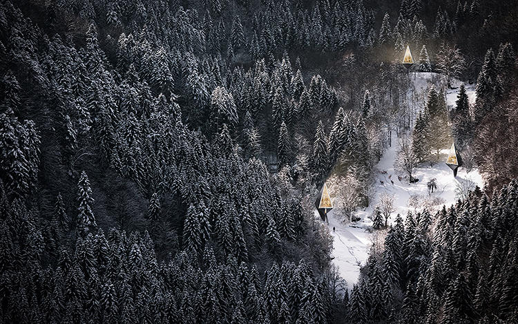 tree house 1